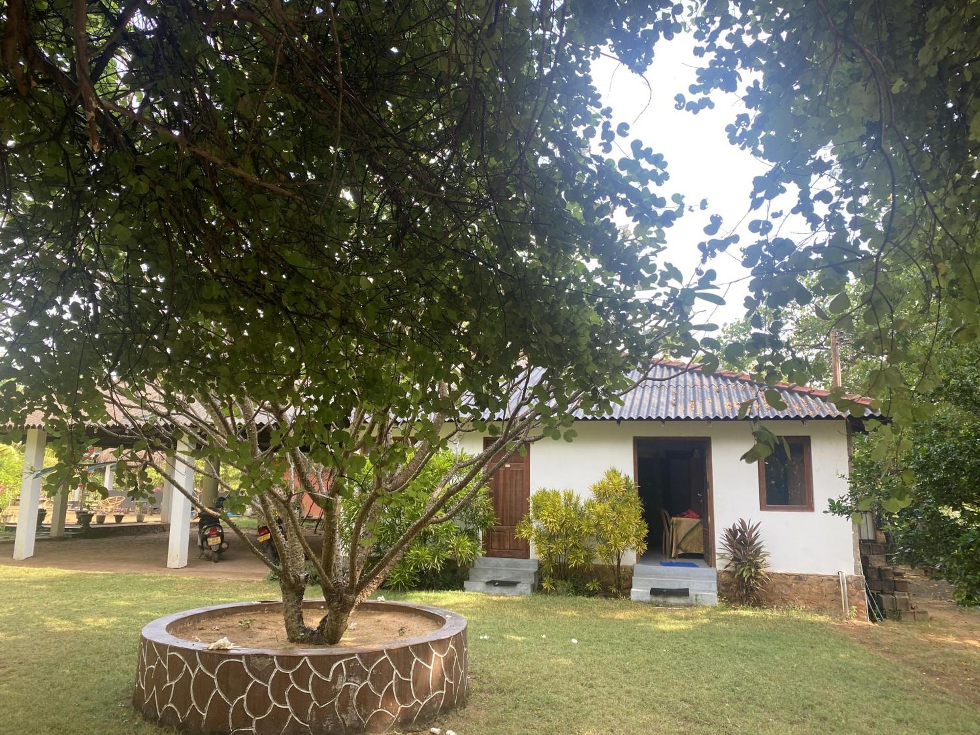 108 Palms Beach Resort Triquinimale Exterior foto