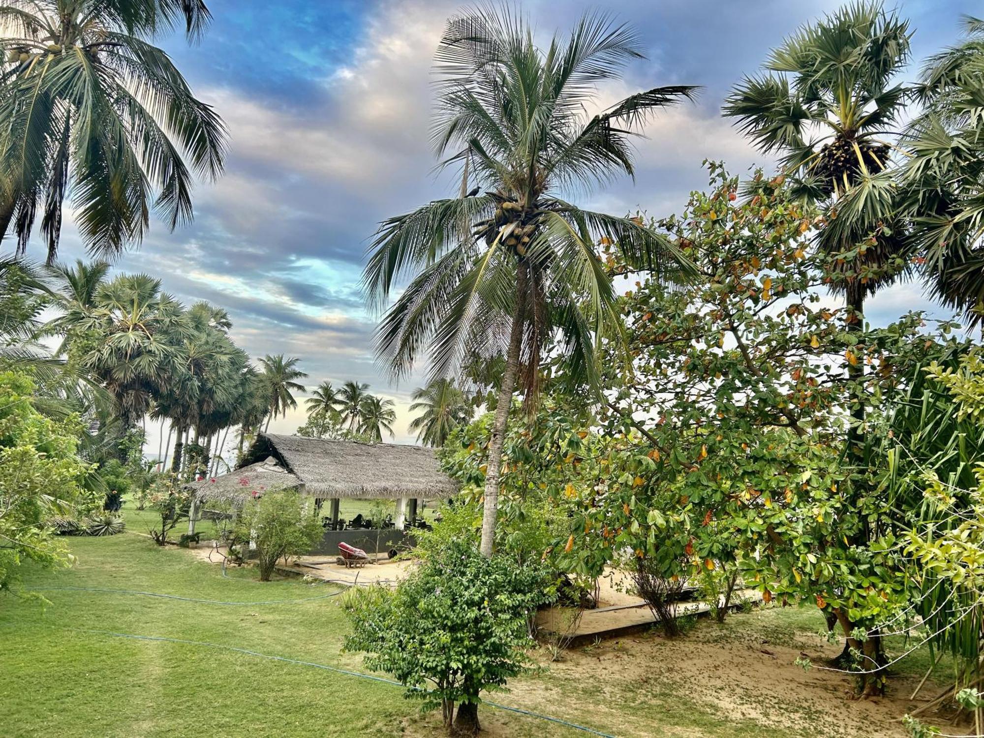 108 Palms Beach Resort Triquinimale Exterior foto